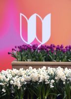 Keukenhof 11 &ndash; &copy; Sabine Krug (Eberhardt TRAVEL)