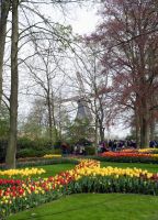 Keukenhof 12 &ndash; &copy; Sabine Krug (Eberhardt TRAVEL)