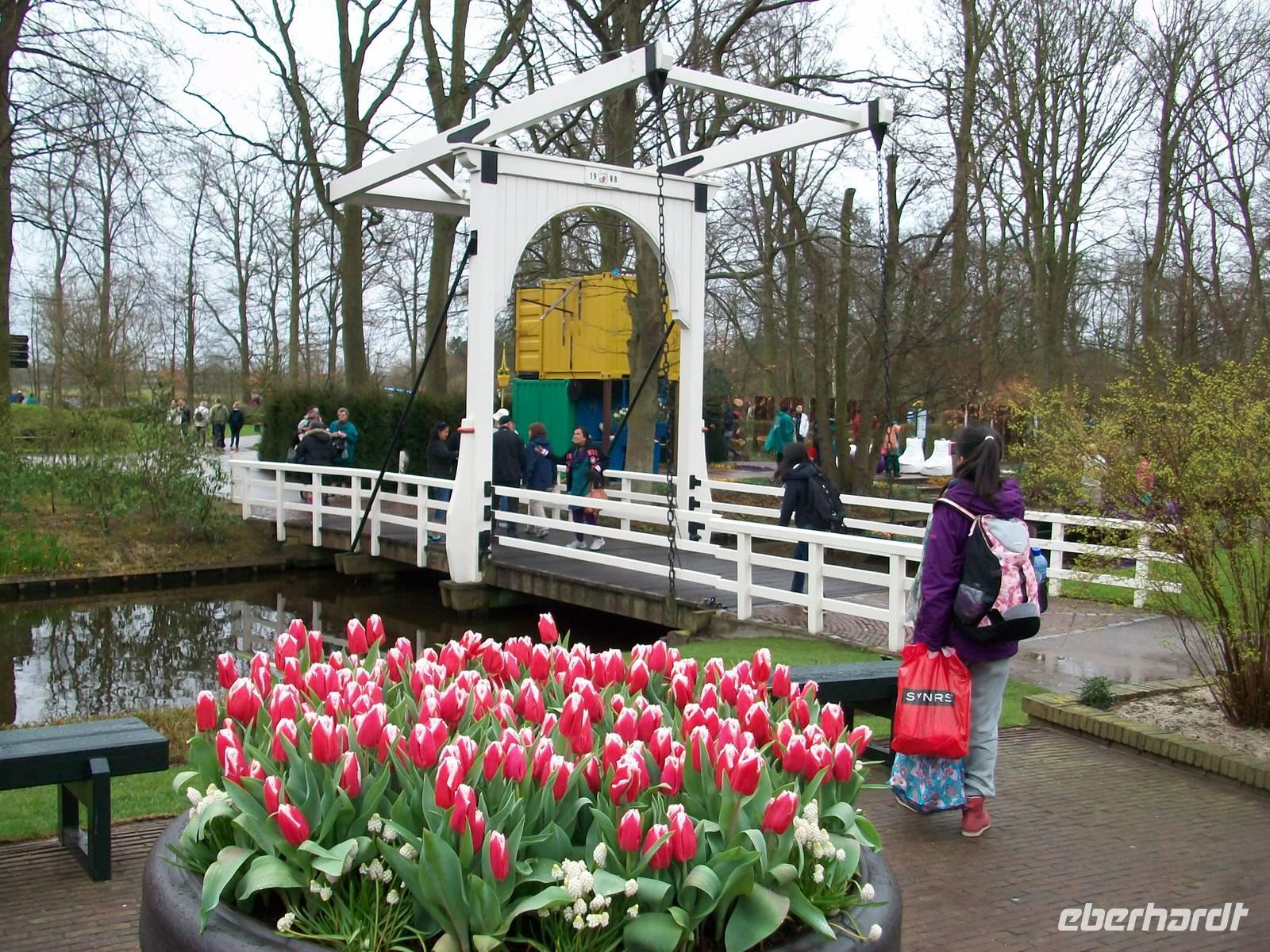 Im Keukenhof