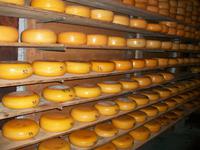 Käsereibesuch in Amtselveen