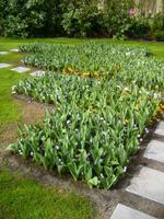 so sieht es leider in diesem Jahr im April aus