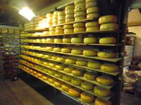 Rembrandthoeve - Käserei und Holzschuhe