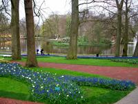 Im Keukenhof