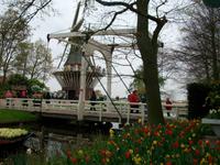 Im Keukenhof