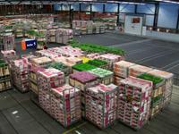 Blumenversteigerung in Aalsmeer