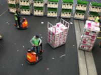 Blumenversteigerung in Aalsmeer