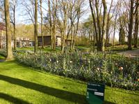 90 Hoflieferanten bepflanzen den Keukenhof