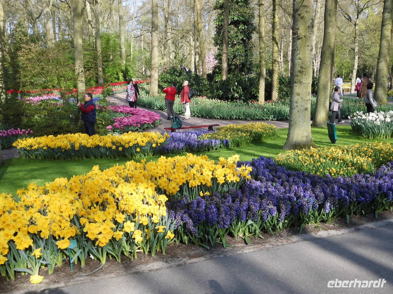 Blumenpracht im Keukenhof
