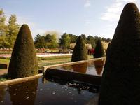 Der Keukenhof lohnt einen langen Spaziergang