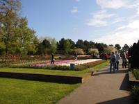 Der Keukenhof lohnt einen langen Spaziergang