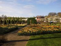 Der Keukenhof lohnt einen langen Spaziergang