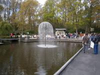 Pusteblume am Eigang in den Park