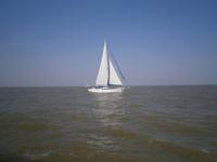 Viele Segeljachten waren zu Ostern unterwegs