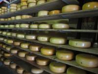 Käserei und Holzschuhmacherei_Rembrandt Hoeve