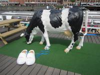 Amsterdam, Bummel durch die Stadt