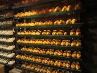 Amstelveen, Käserei und Holzschuhmacherei -Rembrandt Hoeve