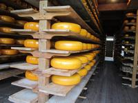 Enkhuizen, Museumsdorf