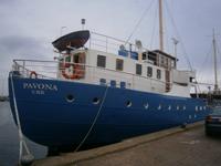 Viele Schiffe im alten Hafen