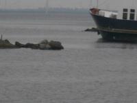 Hafenausfahrt von Urk