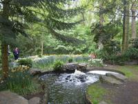 wunderschöne Gestaltung des Parks