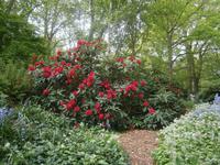 eine große Vielfalt an Farben