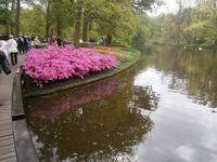 hoher Aufwand für eine kurze Zeit