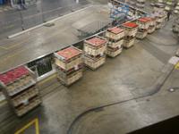 Alsmeer, Blick in die Blumenauktionshalle