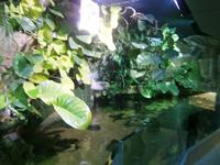 Im Innern des Aquariums