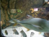 Blick in ein Schaubecken