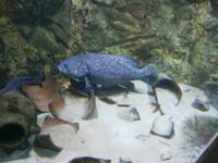 ein gelungener Schnappschuß