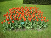 Keukenhof