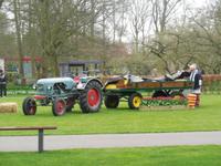 Stillleben auf dem Keukenhof