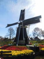 Holländermühle im Zuiderzeemuseum