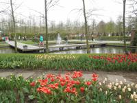 Keukenhof