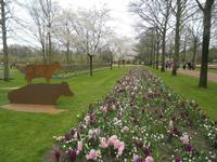 Keukenhof