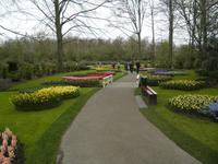 Keukenhof