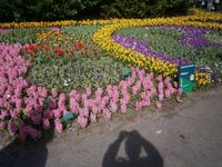 Wie jedes Jahr, herrliche Blumenarrangements