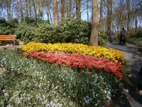 Der Park erblüht in allen Farben