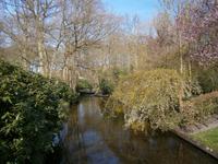 Nicht nur Blumen, auch viele Gehölze kann man sehen