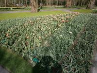 Schön gestaltete Flächen im Park