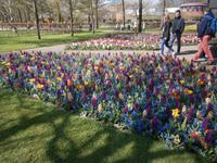 ...in farblicher Vielfalt