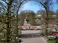 Blick in eine natürliche Pergola