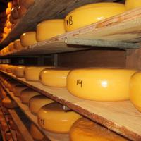 Amstelvee, Besuch der Käserei und Holzschuhmacherei