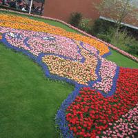 Keukenhof, Thema 2015 - Vincent van Gogh