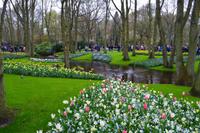 054 Holland, Impressionen im Keukenhof