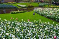 055 Holland, Impressionen im Keukenhof