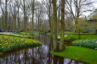 060 Holland, Impressionen im Keukenhof
