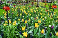 062 Holland, Impressionen im Keukenhof