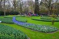 064 Holland, Impressionen im Keukenhof
