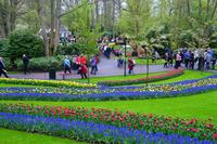 084 Holland, Impressionen im Keukenhof